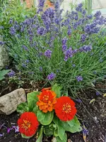 IMG_20250624_193728.webp