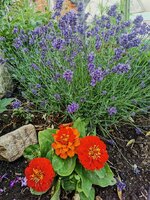 IMG_20250624_193728.jpg