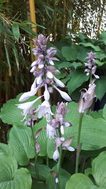 20250617_094945.jpg