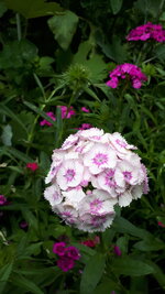 20250624_144426.jpg