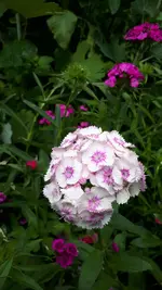 20250624_144426.webp