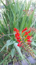 20250625_171307.webp