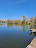 1000029548.webp