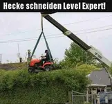 Kreative_Heckenschnitt-Methode_mit_Hebebuehne.webp
