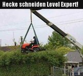 Kreative_Heckenschnitt-Methode_mit_Hebebuehne.jpg