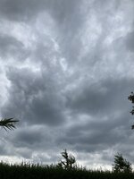 IMG_2759.JPG