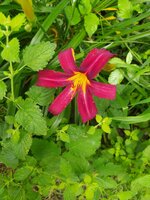 IMG_20250627_141044.jpg