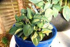DSC01109.JPG