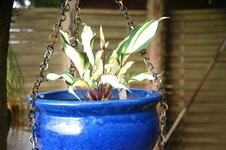 DSC01103.JPG