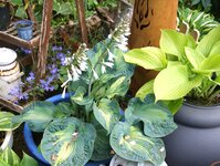 DSC01104.JPG