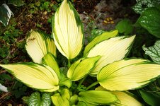 DSC01105.JPG