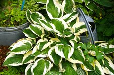 DSC01106.JPG