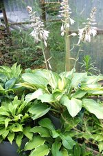 DSC01107.JPG