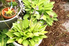 DSC01108.webp