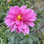 IMG_4806.webp