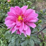 IMG_4806.jpeg