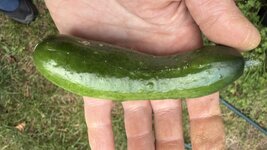 IMG_4814.jpeg