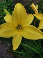 IMG_20250627_075159.jpg