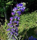 IMG_20250611_172628.jpg