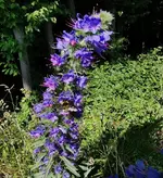 IMG_20250611_172628.webp