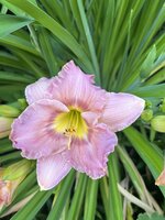 IMG_8901.jpeg