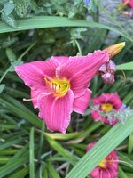 IMG_8902.jpeg
