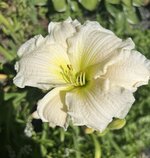 IMG_8904.jpeg