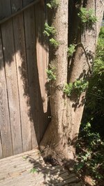IMG_7808.jpeg