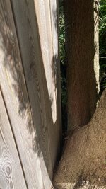 IMG_7807.jpeg