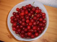 Kirschen (4).webp