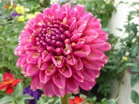 003.webp