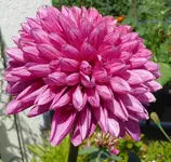 002.webp