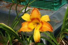 DSC01111.JPG