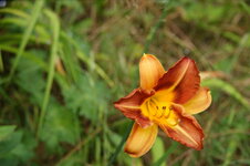 DSC01112.JPG