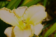 DSC01113.JPG