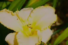 DSC01113.webp
