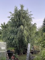 IMG_5090.jpeg