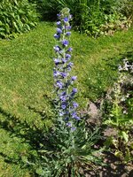 IMG_20250629_105731.jpg