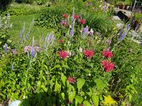 IMG_20250629_105748.jpg