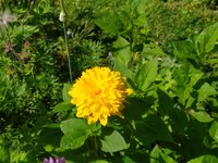 IMG_20250629_105857.jpg