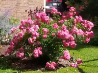 IMG_20250629_105820.webp