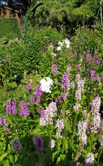 IMG_20250629_110634.jpg