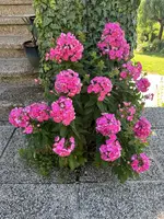 IMG_8911.webp