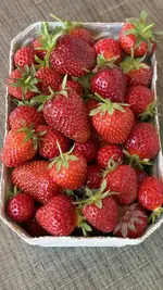 IMG_8735.webp