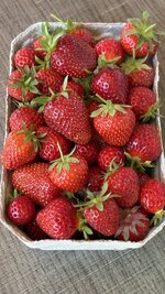 IMG_8735.jpeg