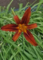 20250629_164928.webp