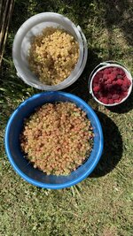 IMG_4881.jpeg