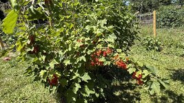 IMG_4884.jpeg