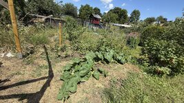 IMG_4886.jpeg