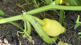 IMG_4880.jpeg